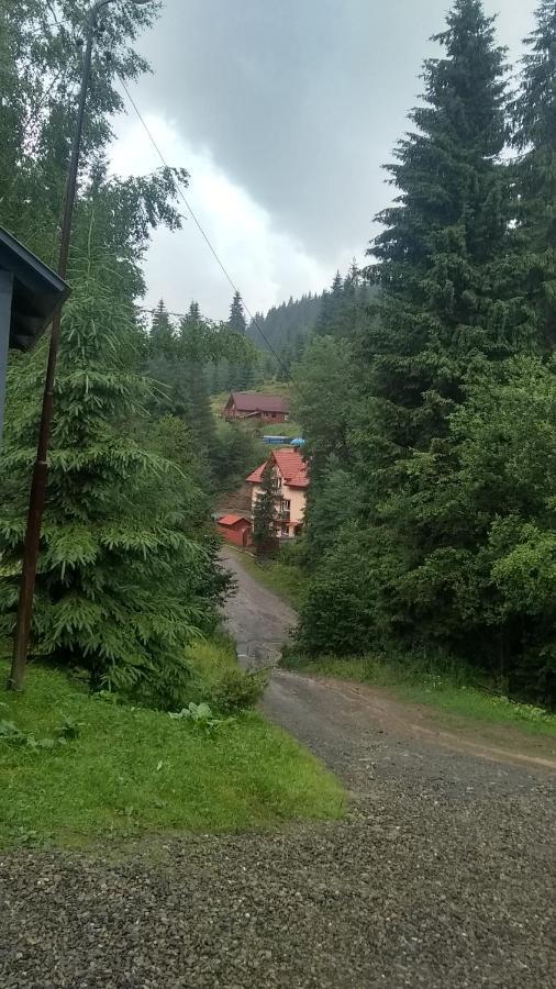 Садиба Срібні Карпати Yablunytsya Exterior photo